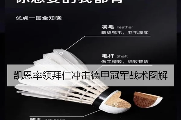 凯恩率领拜仁冲击德甲冠军战术图解